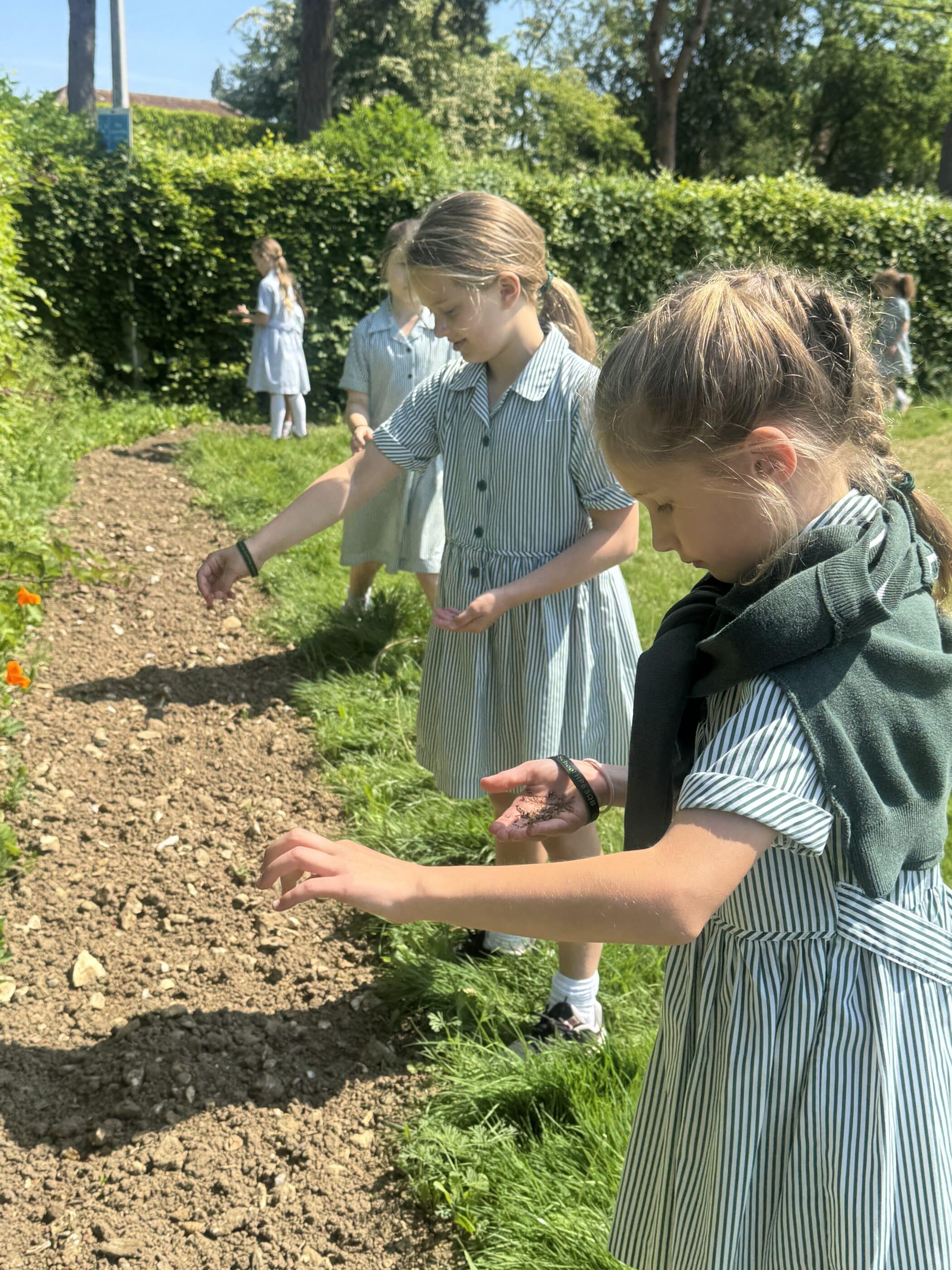 Children standing in a garden bed area, looking down at the soil as they participate in a seed planting activity. The scene is outdoors, with lush greenery and sunlight.