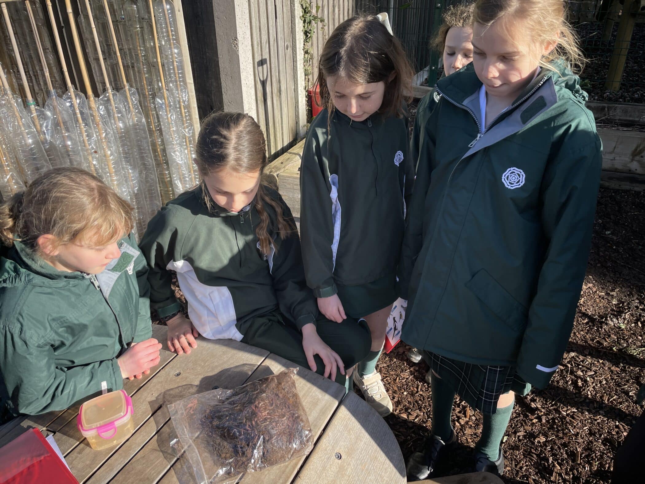 A group of children in school uniform gathered around a table, looking at a plastic bag filled with soil or organic matter, possibly part of a composting or gardening project.