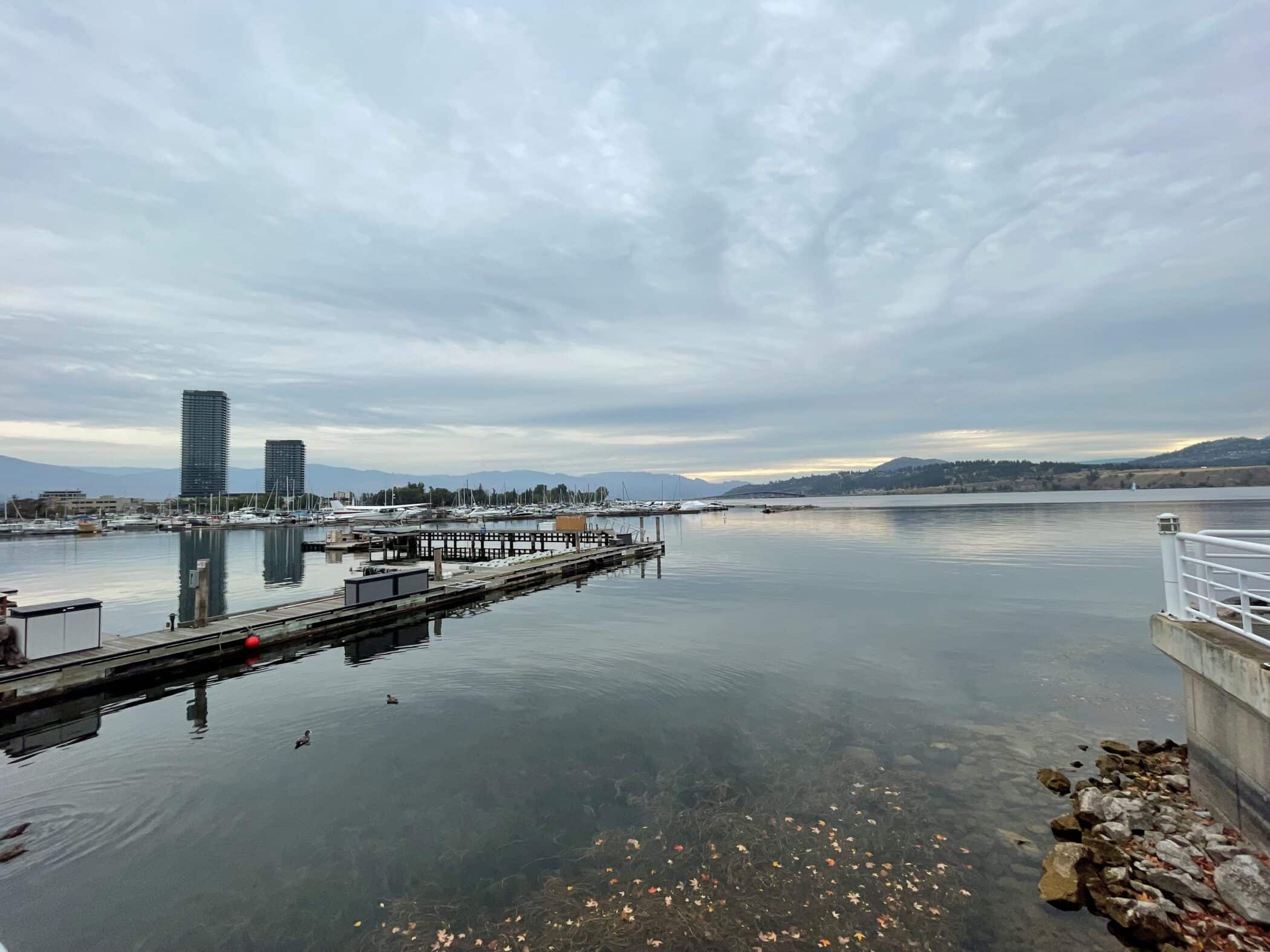 Overcast morning view of Kelowna’s waterfront with calm water, marina docks, and tall buildings in the distance against surrounding hills.