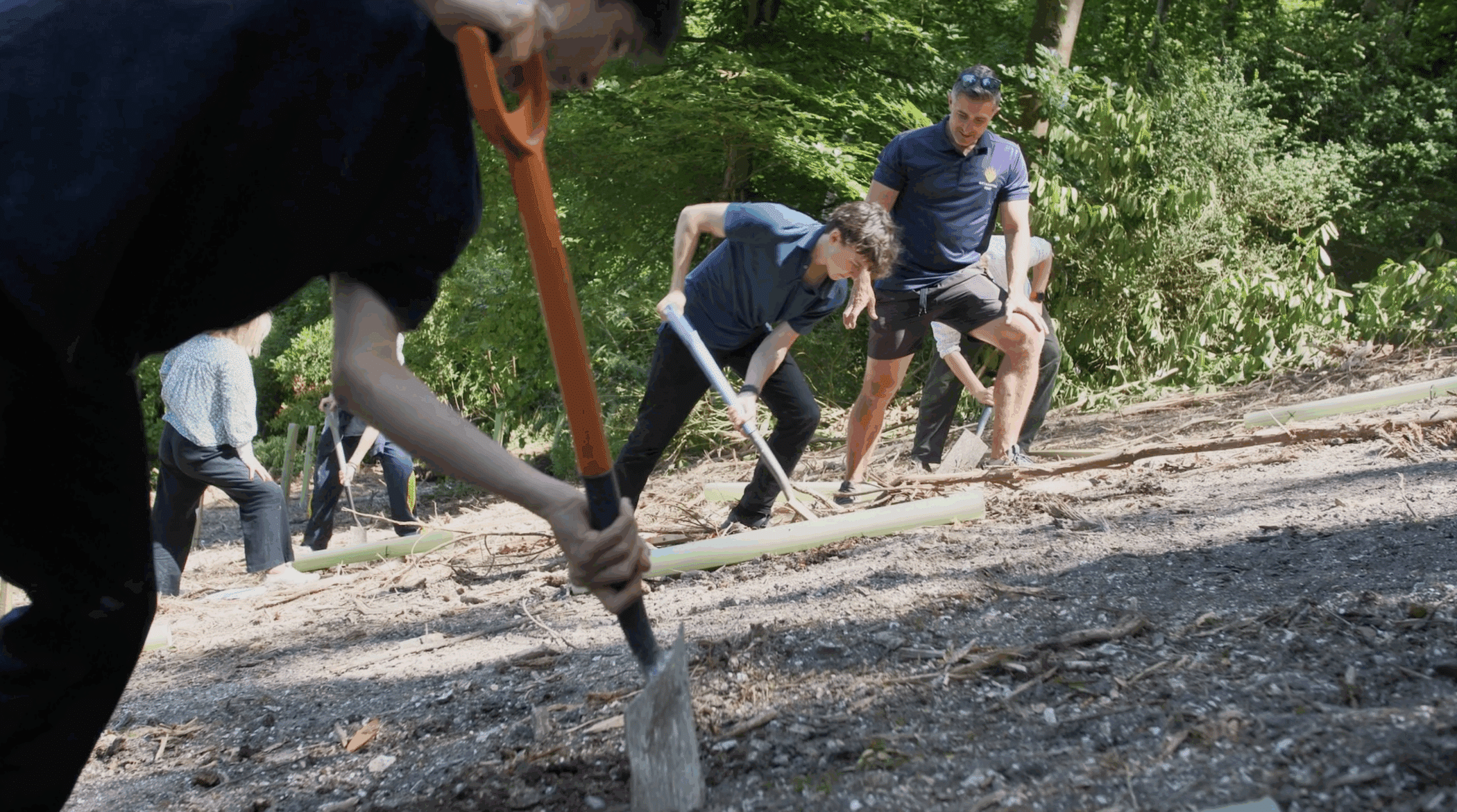 A group of people are outdoors on a wooded hillside, digging with shovels and spades. They appear to be working together on a planting or conservation activity under bright sunlight, surrounded by green trees.