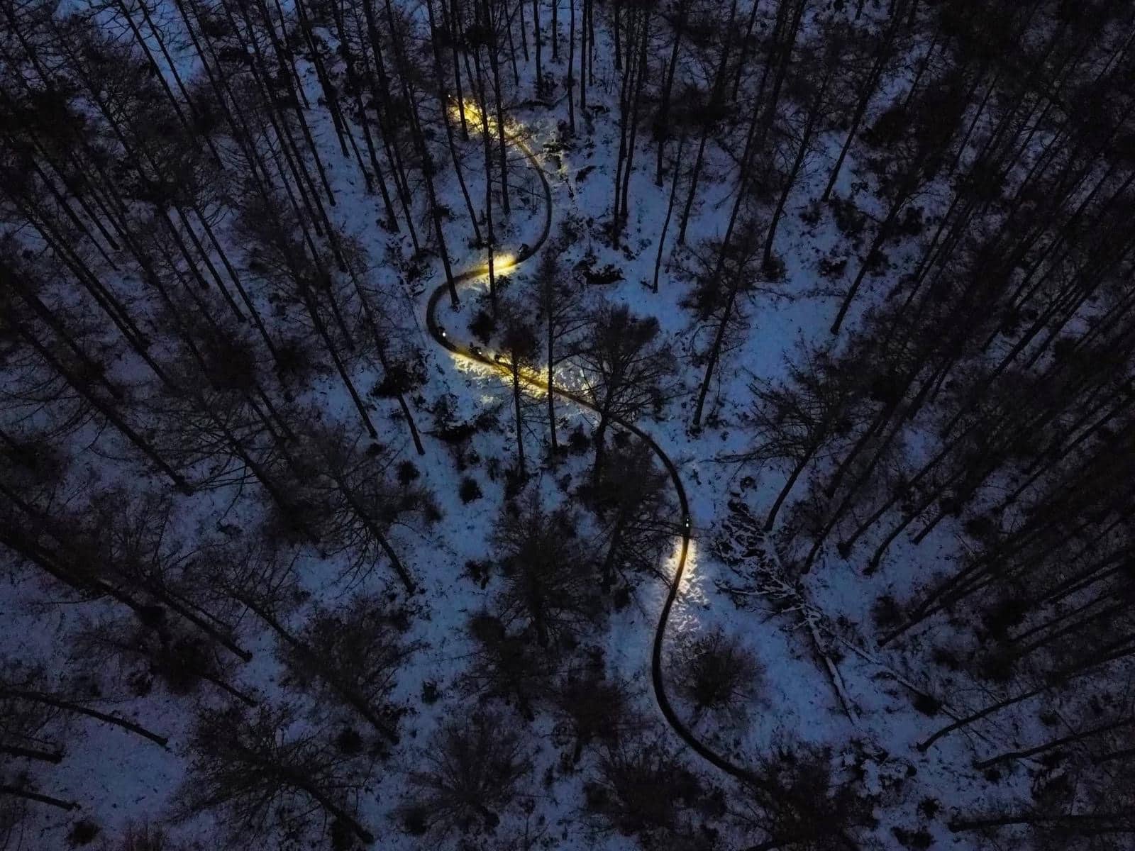 Aerial view at dusk of a winding forest trail cutting through snow-covered trees, illuminated by a line of bike lights moving along the path.